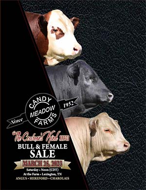 Candy Meadow Farms Sale book