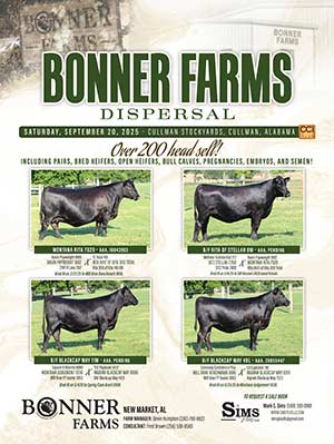 Bonner Farms Dispersal Sale Ad