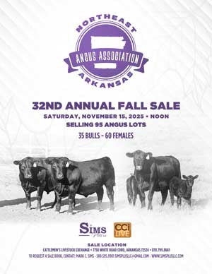 Northeast Arkansas Angus Association Fall Sale Ad