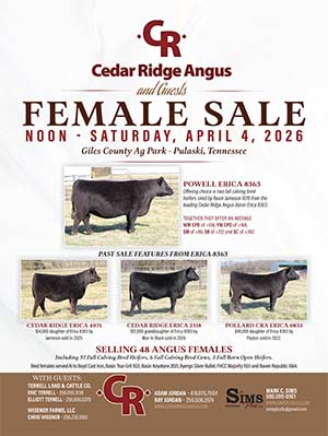 sale ad
