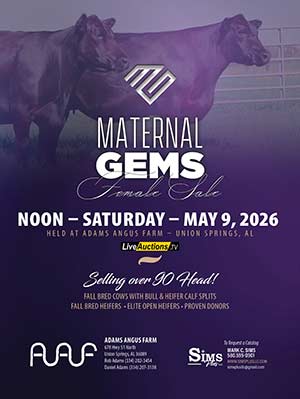 Maternal Gems Female Sale ad