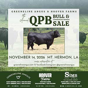 Greeneline Angus Bull Sale ad